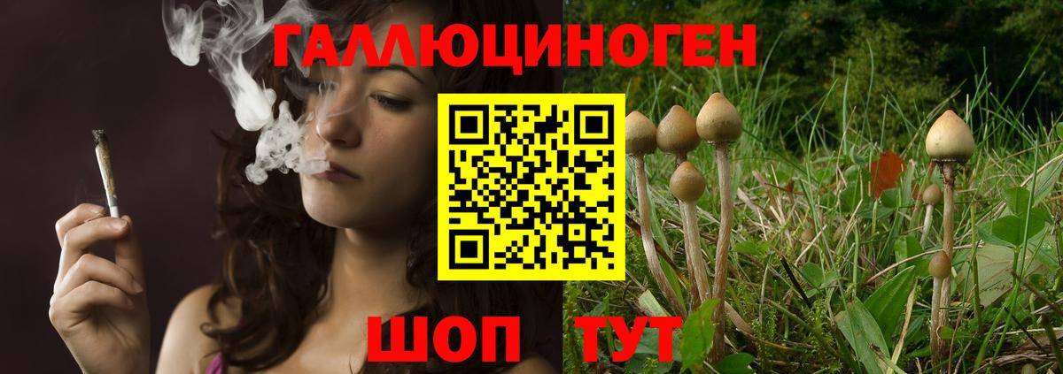 Качканар  Галлюциногенные грибы Magic Shrooms  купить  сайты  Вход с VPN 